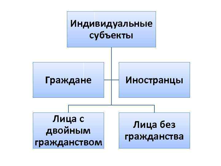 Индивидуальные субъекты Граждане Иностранцы Лица с двойным гражданством Лица без гражданства 