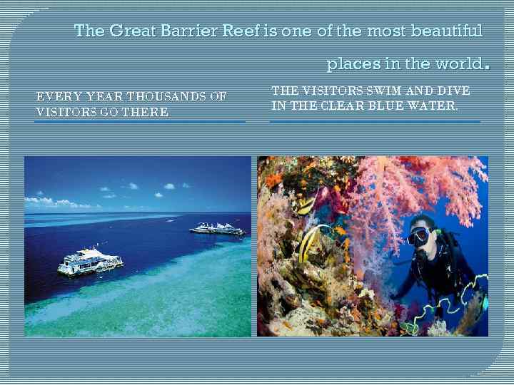 The Great Barrier Reef is one of the most beautiful . places in the