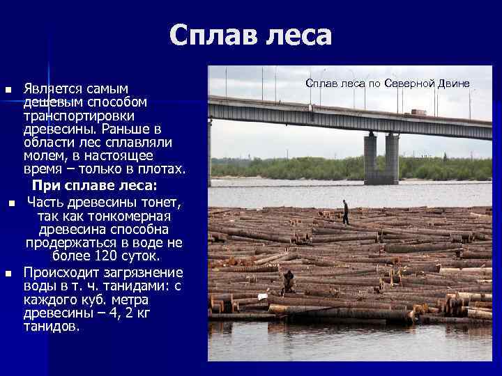 Сплав леса n n n Является самым дешевым способом транспортировки древесины. Раньше в области
