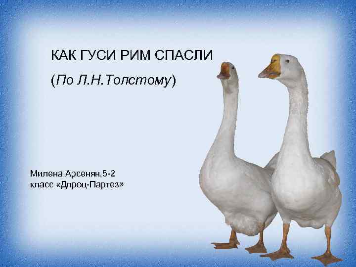 Гуси спасли рим картинки