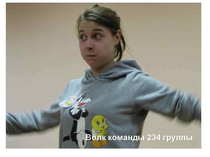 Волк команды 234 группы 