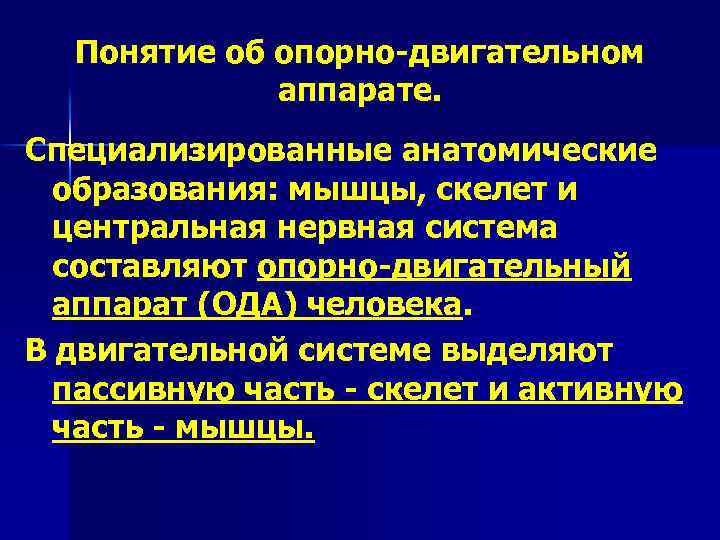 Что является активной частью опорно двигательного аппарата. Понятие опорно-двигательного аппарата. Термины опорно двигательного аппарата. Понятие о двигательном аппарате. Понятие опорно-двигательного аппарата человека.