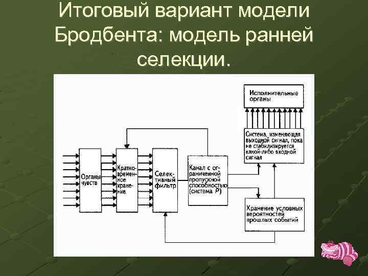 Блок схема внимания как ранней селекции информации