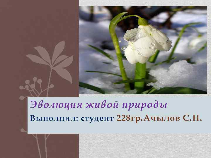 Эволюция живой природы Выполнил: студент 228 гр. Ачылов С. Н. 