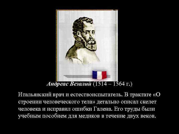 Андреас Везалий (1514 – 1564 г. ) Итальянский врач и естествоиспытатель. В трактате «О