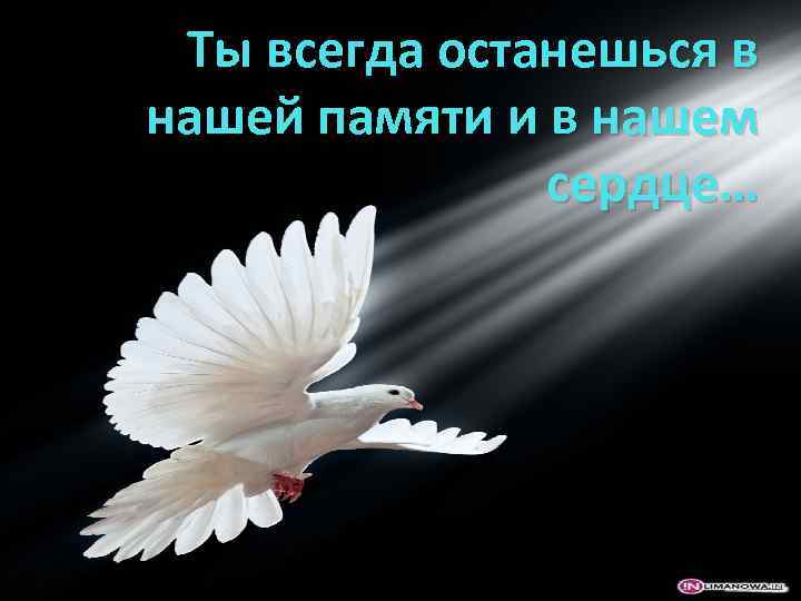 Помнить светлый. Всегда в наших сердцах. Ты всегда в наших сердцах. Ты навсегда останенся в наших серд. Всегда останется в нашей памяти.