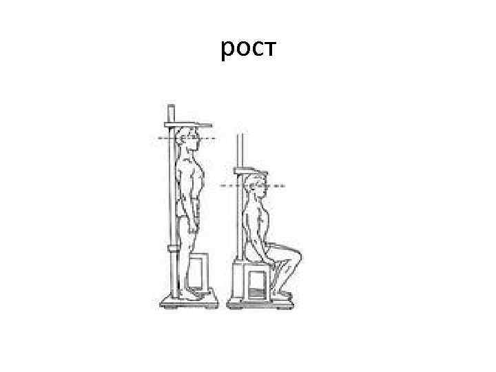 рост 