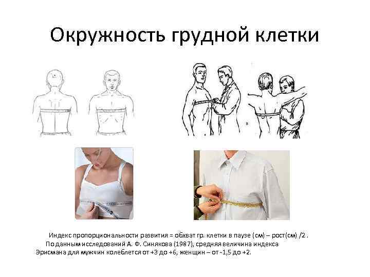 Окружность грудной клетки Индекс пропорциональности развития = обхват гр. клетки в паузе (см) –