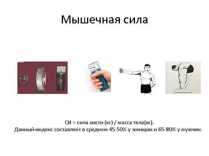 Мышечная сила СИ = сила кисти (кг) / масса тела(кг). Данный индекс составляет в