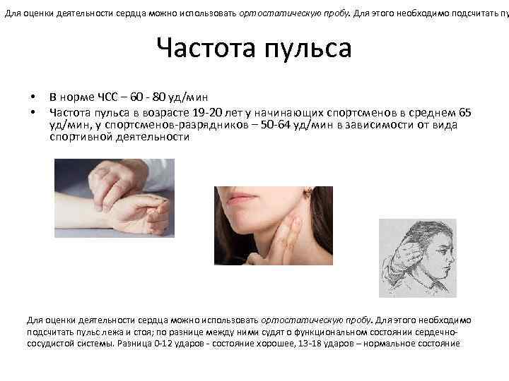 Для оценки деятельности сердца можно использовать ортостатическую пробу. Для этого необходимо подсчитать пу Частота