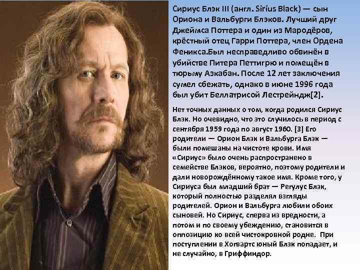 Сириус Блэк III (англ. Sirius Black) — сын Ориона и Вальбурги Блэков. Лучший друг