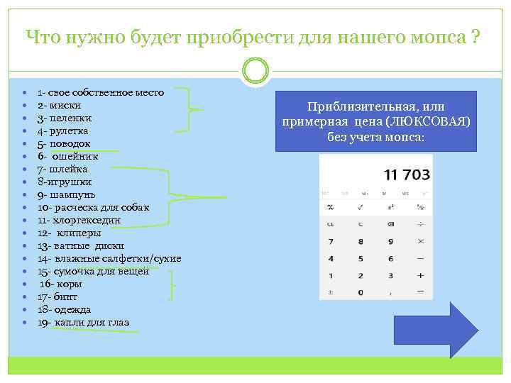 Что нужно будет приобрести для нашего мопса ? 1 - свое собственное место 2