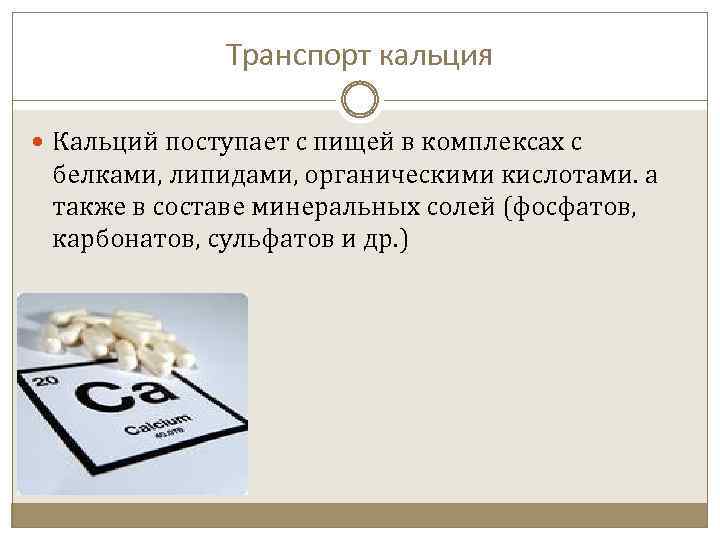Транспорт кальция Кальций поступает с пищей в комплексах с белками, липидами, органическими кислотами. а