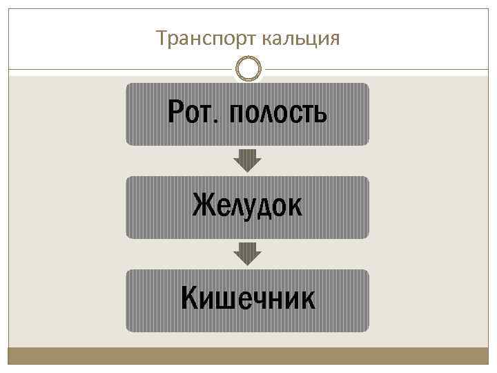 Транспорт кальция Рот. полость Желудок Кишечник 