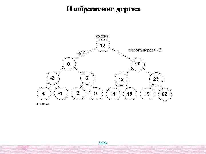 Дерево данных. Виды деревьев структуры данных. Дерево Тип данных. Структура информации дерево. Высота дерева структура данных.