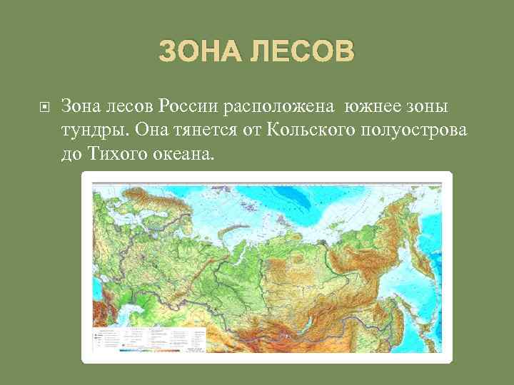 4 лесных зон. Зона лесов расположение 4 класс. Зона лесов на карте. Расположение лесных зон. Местоположение зоны лесов России.