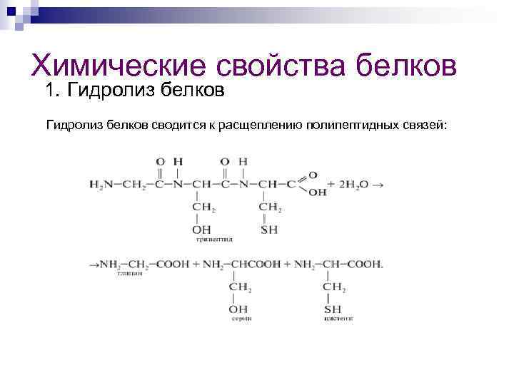 Химические свойства белков 1. Гидролиз белков сводится к расщеплению полипептидных связей: 
