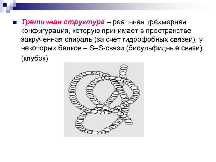 Третичная структура – реальная трехмерная конфигурация, которую принимает в пространстве закрученная спираль (за счет