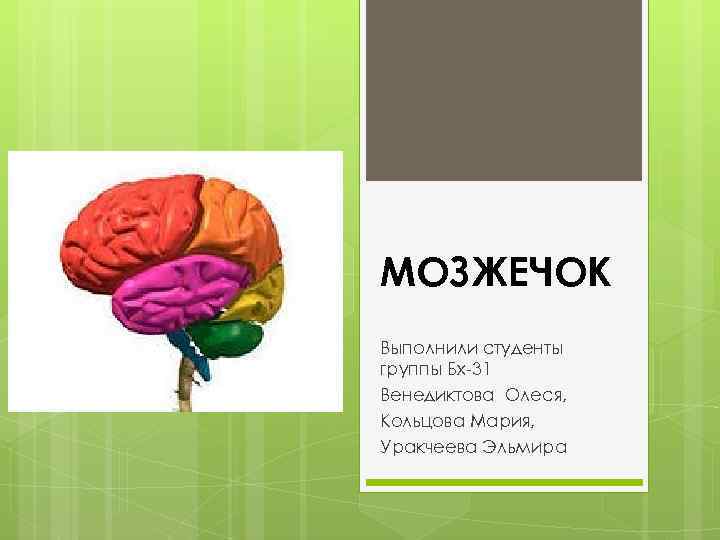 МОЗЖЕЧОК Выполнили студенты группы Бх-31 Венедиктова Олеся, Кольцова Мария, Уракчеева Эльмира 