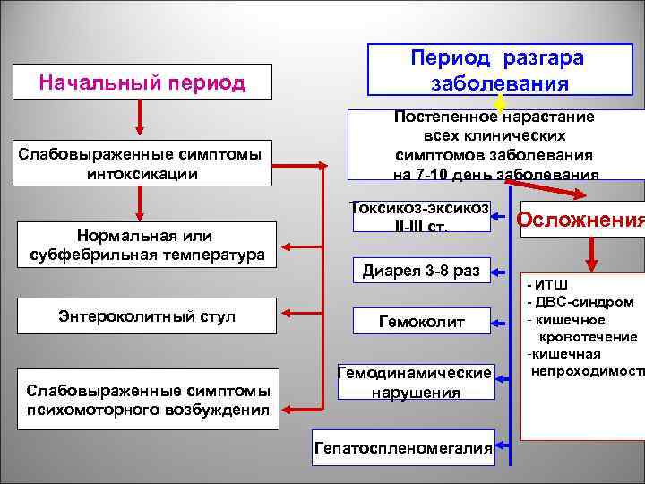 Начальный период Период разгара заболевания Слабовыраженные симптомы интоксикации Постепенное нарастание всех клинических симптомов заболевания