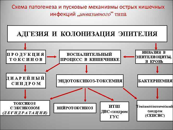 Схема патогенеза и пусковые механизмы острых кишечных инфекций „инвазивного” типа АДГЕЗИЯ И КОЛОНИЗАЦИЯ ЭПИТЕЛИЯ