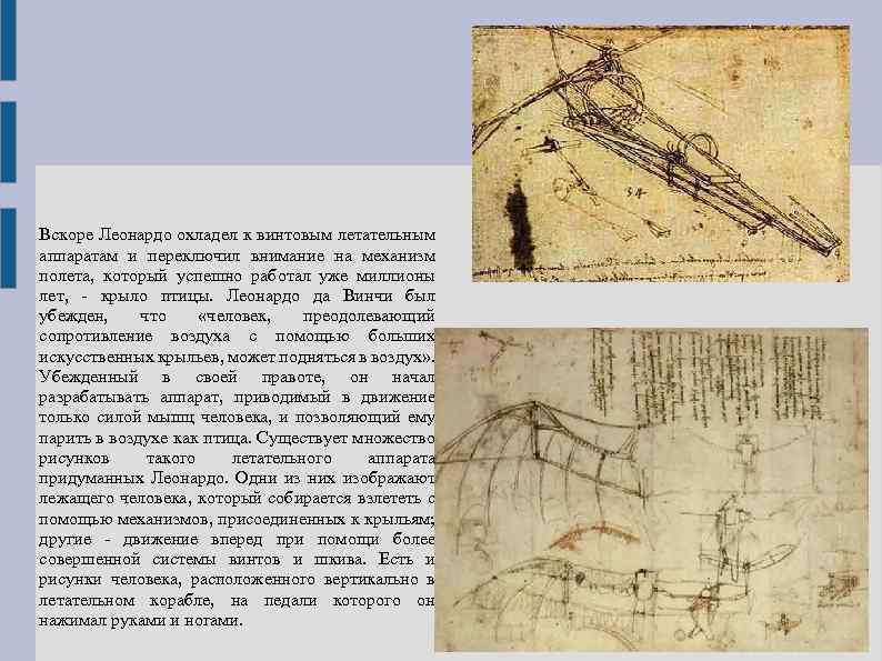 Вскоре Леонардо охладел к винтовым летательным аппаратам и переключил внимание на механизм полета, который
