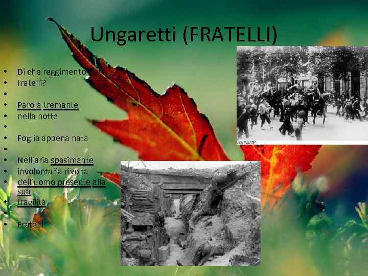 Ungaretti (FRATELLI) • • • • Di che reggimento siete fratelli? Parola tremante nella