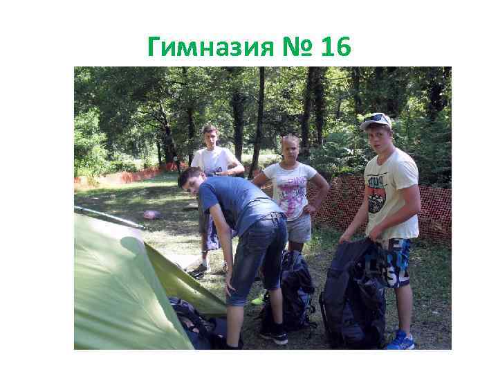 Гимназия № 16 