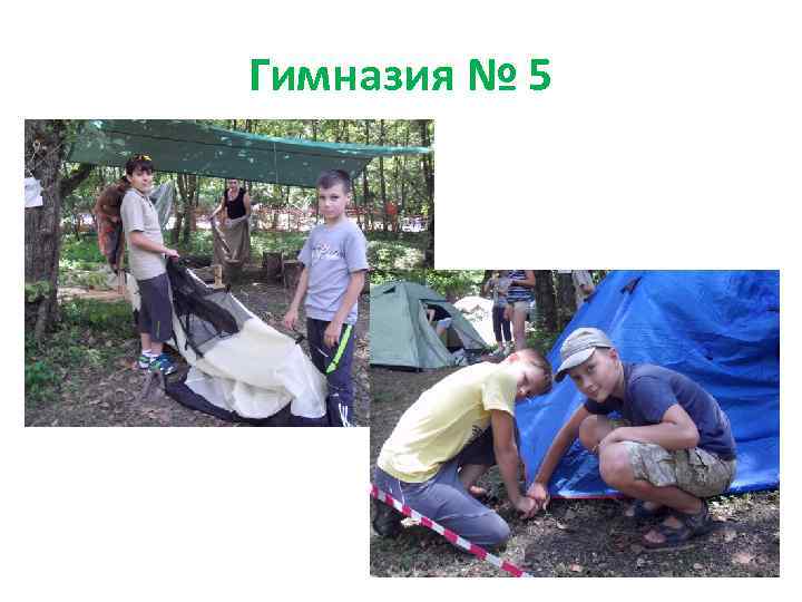 Гимназия № 5 