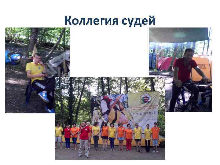 Коллегия судей 