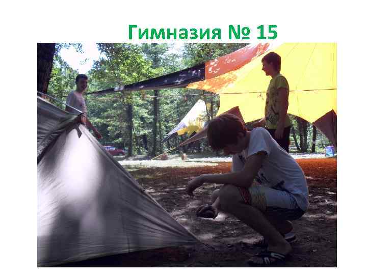 Гимназия № 15 