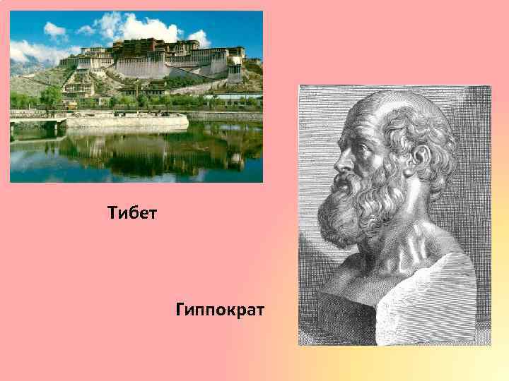 Тибет Гиппократ 