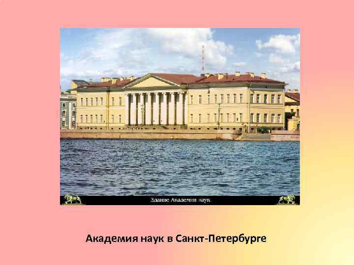 Академия наук в Санкт-Петербурге 