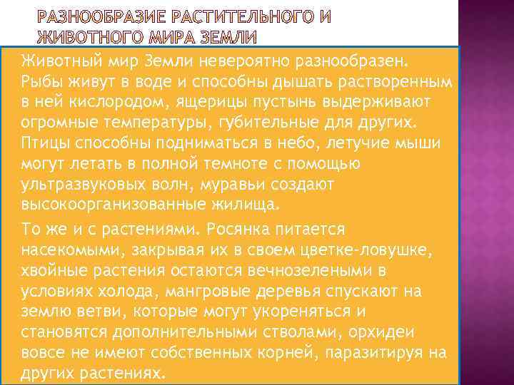 Животный мир Земли невероятно разнообразен. Рыбы живут в воде и способны дышать растворенным в
