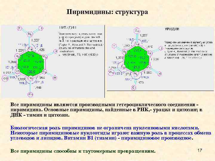 Пиримидины: структура Все пиримидины являются производными гетероциклического соединения - пиримидина. Основные пиримидины, найденные в