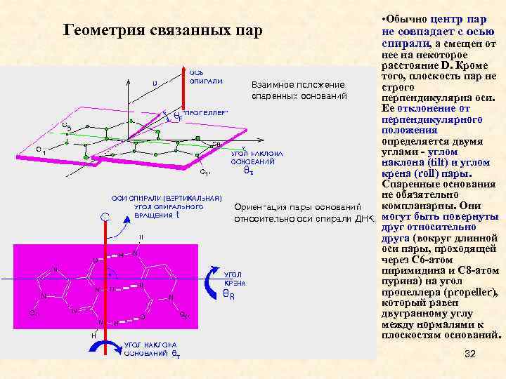 Геометрия связанных пар • Обычно центр пар не совпадает с осью спирали, а смещен