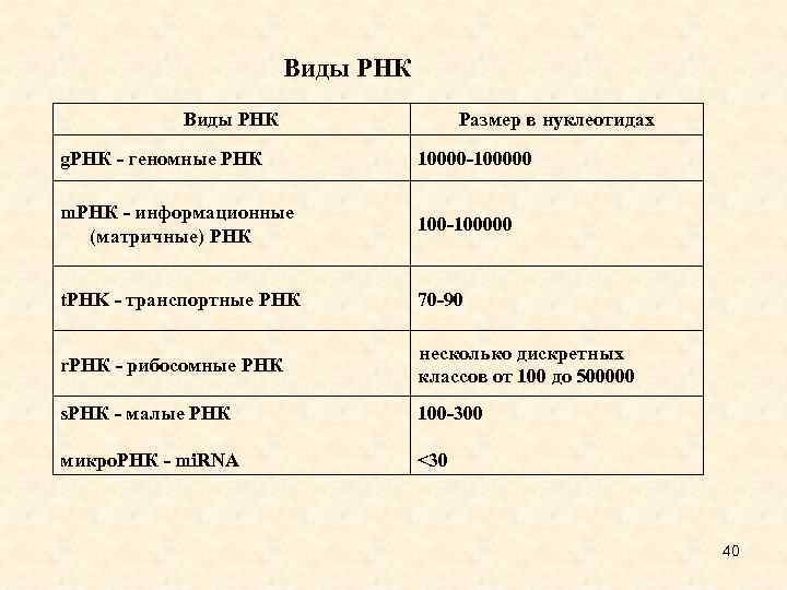 Виды РНК Размер в нуклеотидах g. РНК - геномные РНК 10000 -100000 m. РНК