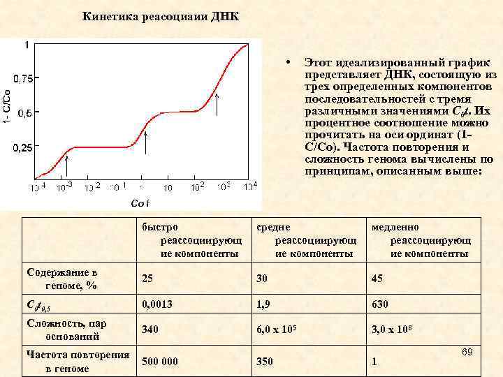 Кинетика реасоциаии ДНК • Этот идеализированный график представляет ДНК, состоящую из трех определенных компонентов