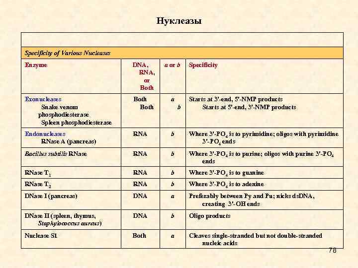 Нуклеазы Specificity of Various Nucleases Enzyme DNA, RNA, or Both a or b Exonucleases