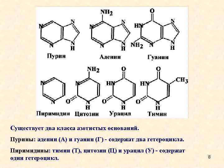 Схема таутомерных превращений гуанина - 88 фото