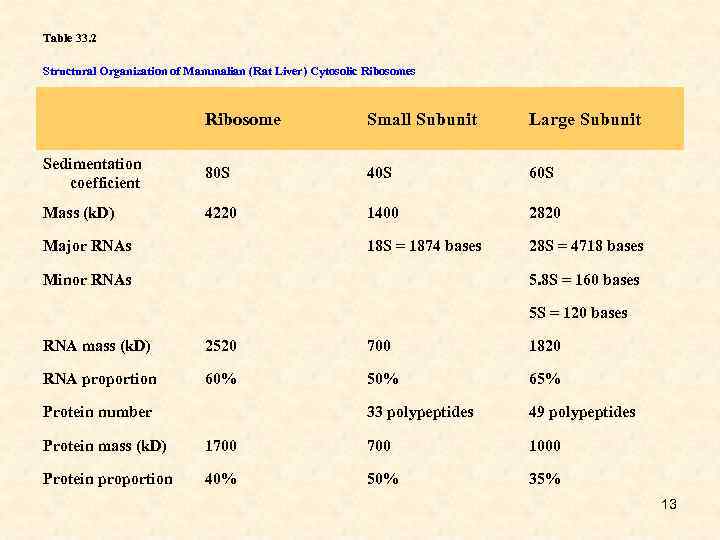 Table 33. 2 Structural Organization of Mammalian (Rat Liver) Cytosolic Ribosomes Ribosome Small Subunit