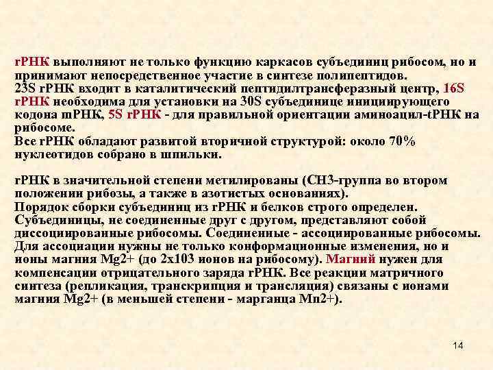 r. РНК выполняют не только функцию каркасов субъединиц рибосом, но и принимают непосредственное участие