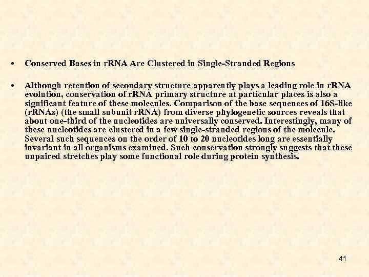  • Conserved Bases in r. RNA Are Clustered in Single-Stranded Regions • Although