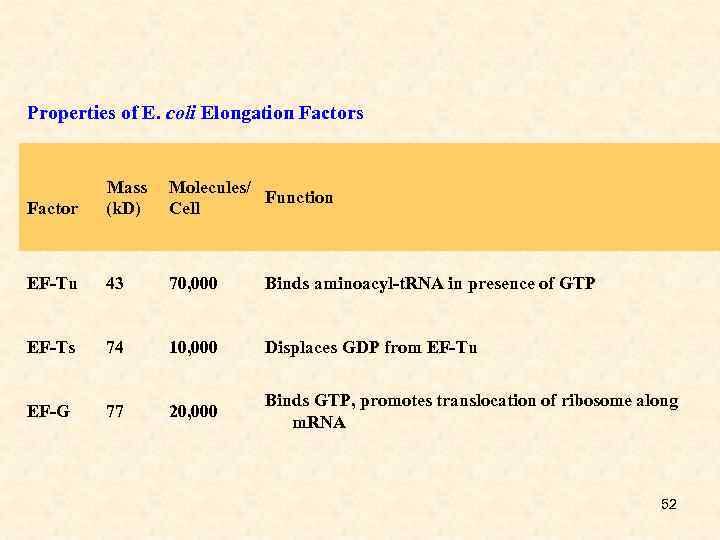 Properties of E. coli Elongation Factors Factor Mass (k. D) Molecules/ Function Cell EF-Tu