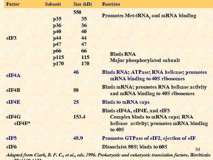 Factor Subunit Size (k. D) 550 p 35 p 36 p 40 p 44