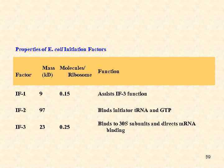 Properties of E. coli Initiation Factors Factor Mass Molecules/ Function (k. D) Ribosome IF-1