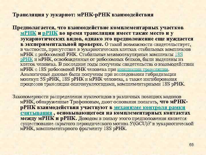 Трансляция у эукариот: м. РНК-р. РНК взаимодействия Предполагается, что взаимодействие комплементарных участков м. РНК