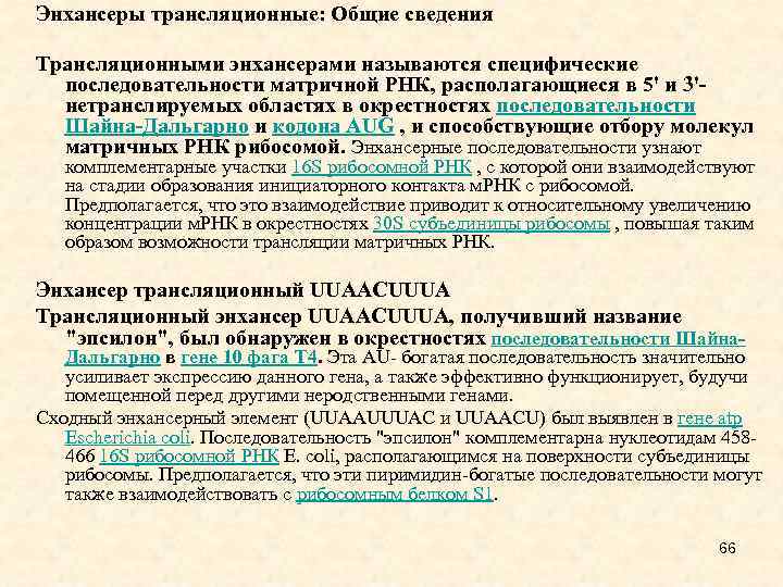 Энхансеры трансляционные: Общие сведения Трансляционными энхансерами называются специфические последовательности матричной РНК, располагающиеся в 5'