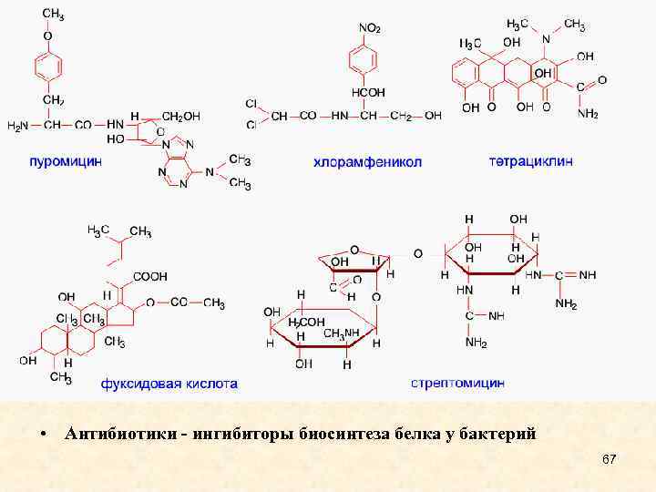  • Антибиотики - ингибиторы биосинтеза белка у бактерий 67 