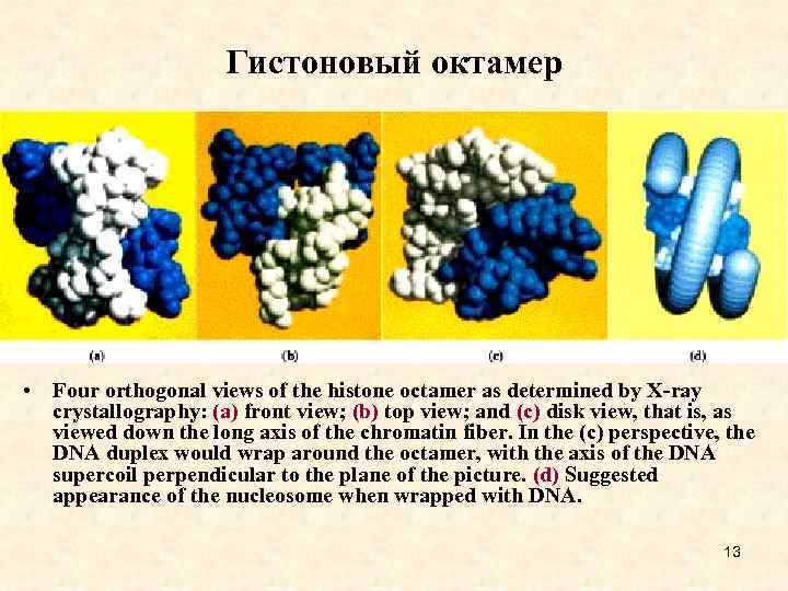 Гистоновый октамер • Four orthogonal views of the histone octamer as determined by X-ray